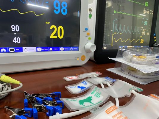1024X768 LCD Monitor Multiparameter Veterinary, Perangkat Pemantauan Vital dengan 15 Inch